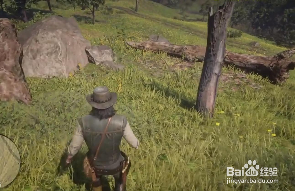 荒野大镖客2毒蛇之痕藏宝图位置 宝藏获取方法