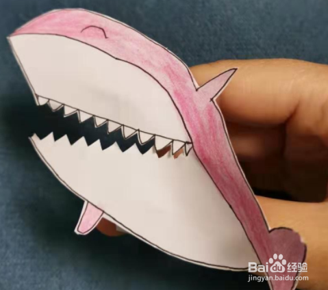 和孩子一起边玩边学鲨鱼宝宝