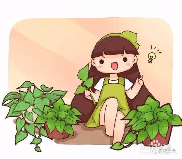 适合室内的防辐射植物之小小盆栽类