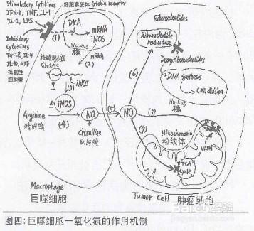你不知道的这些神奇气体，它们就在每天呼吸的空气中