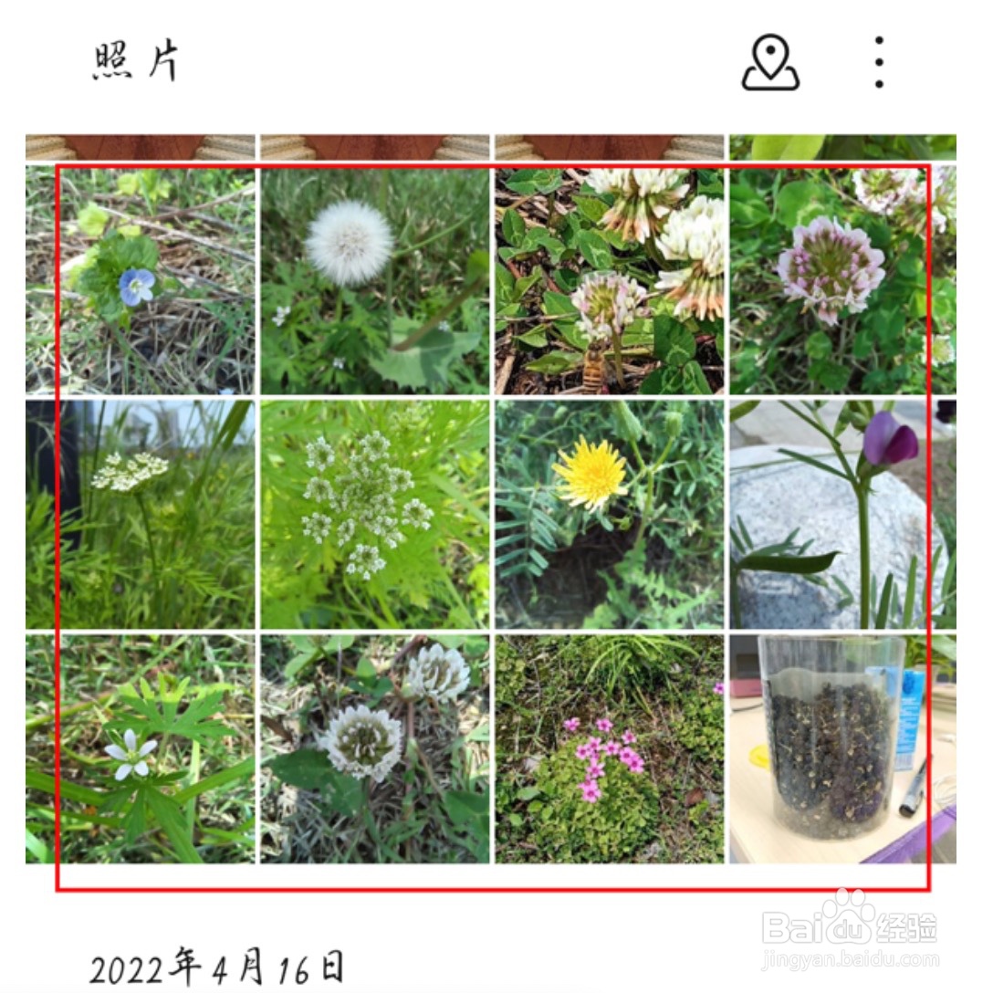 荣耀Magic4如何将图片转换成pdf格式
