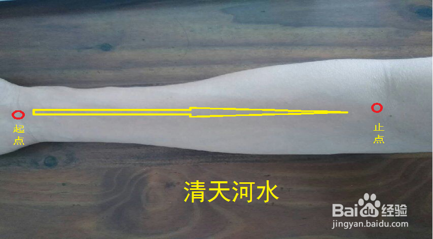 风热感冒夹痰怎么办