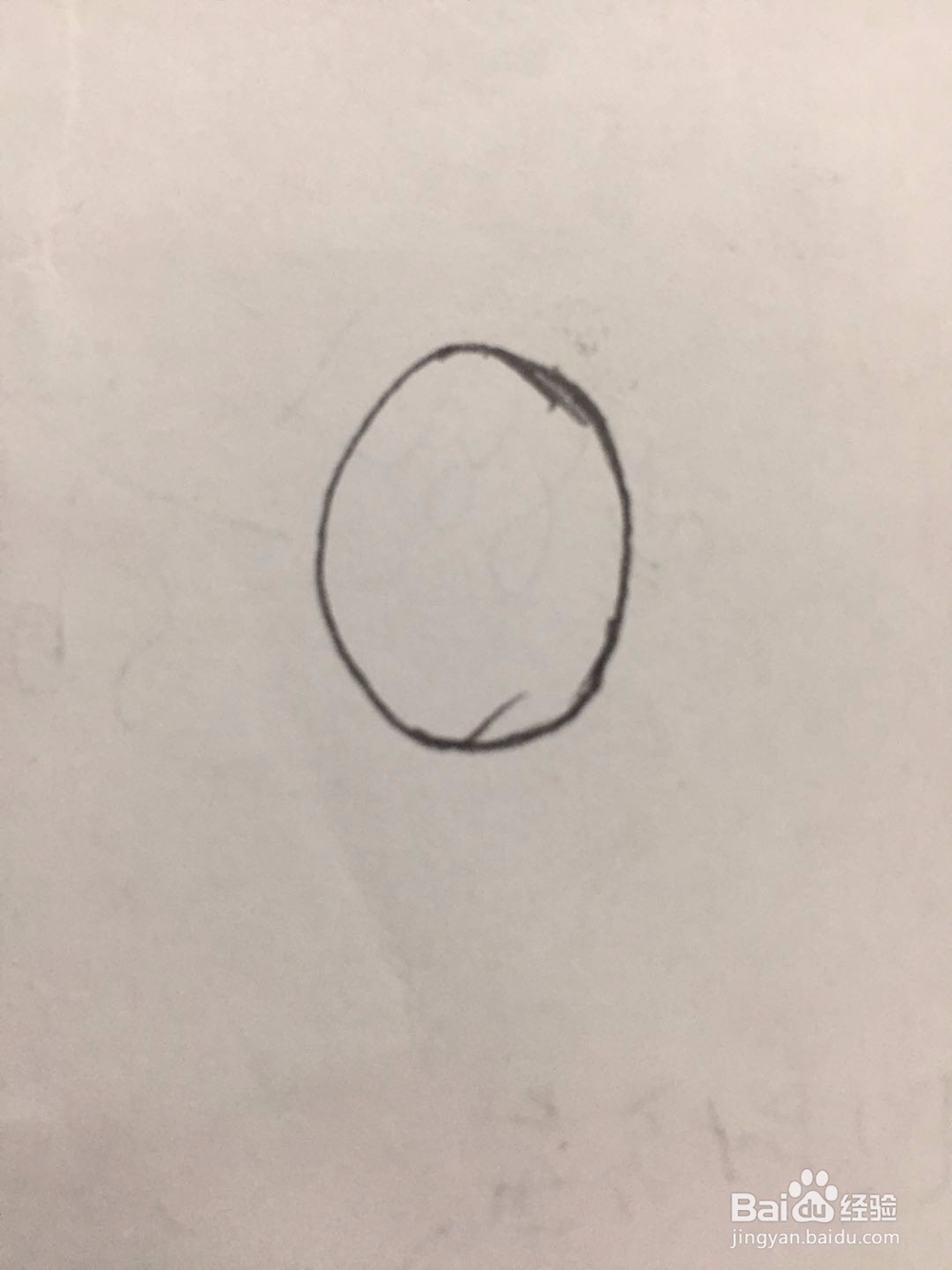 简笔画郁金香的画法