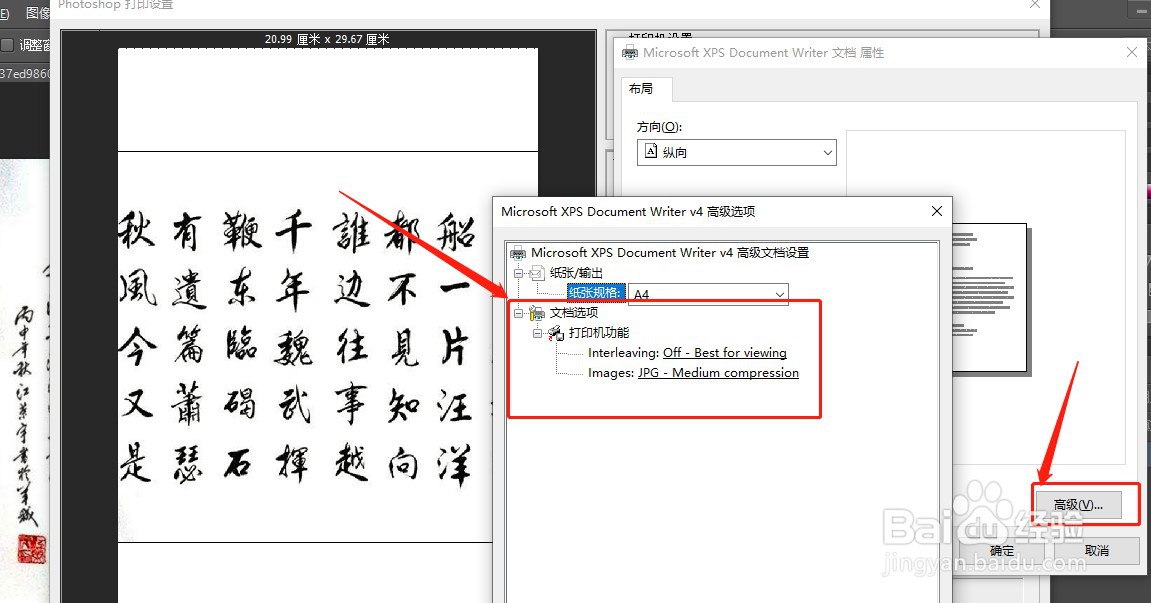 如何查看XPS文档选项功能?