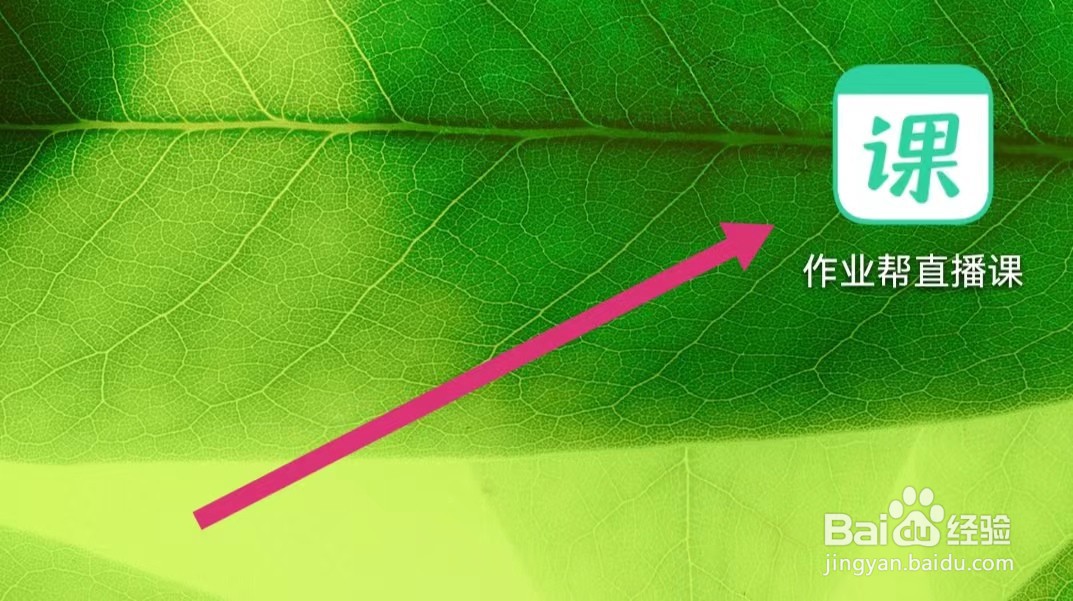 作业帮直播课APP如何开启护眼模式？