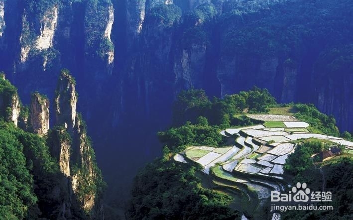 玩遍张家界学生旅游攻略线路