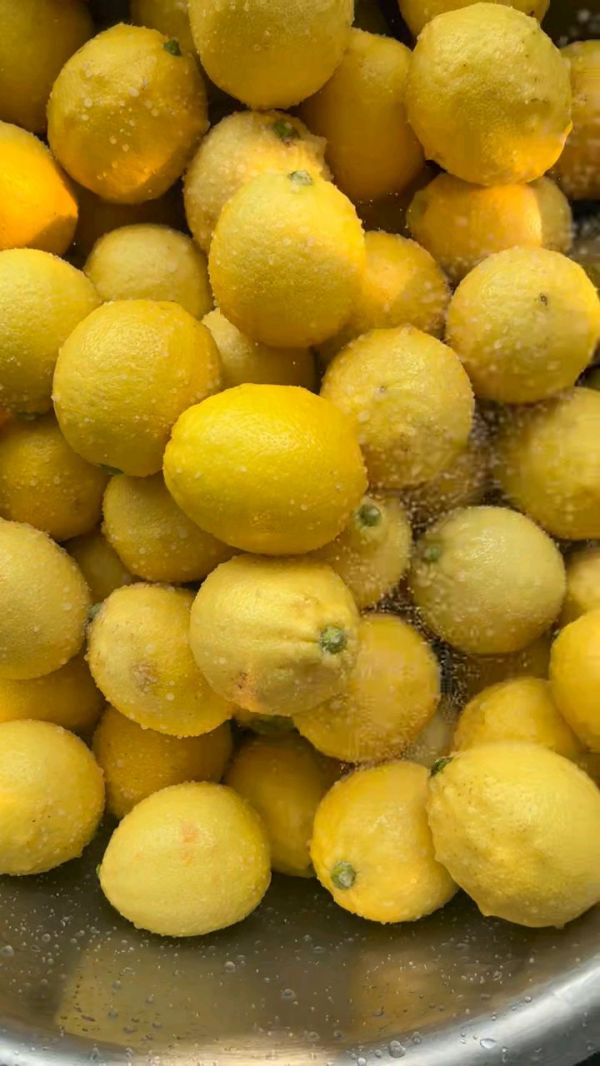 润肺止咳化痰川贝陈皮柠檬膏