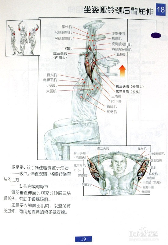 男士必须收藏：男士肩部和手臂健身方法