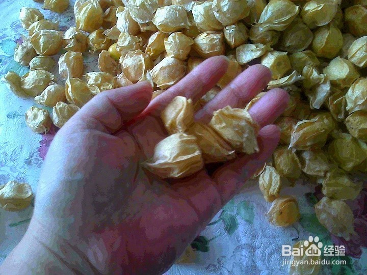 老年人怎样用做游戏的方法和孩子吃姑鸟