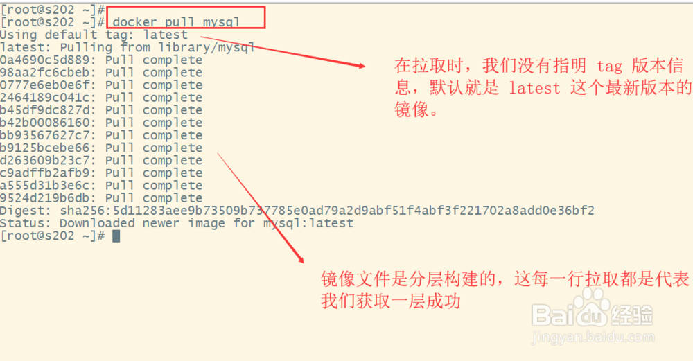 Docker学习--拉取并管理镜像文件