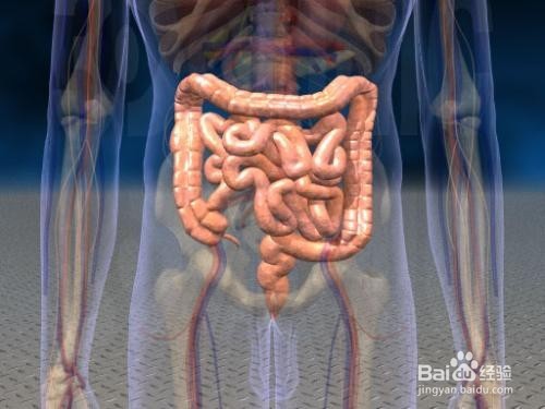 做钡餐注意事项