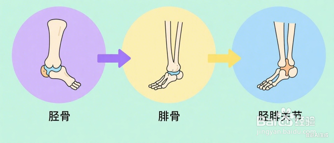 怎么瘦大腿和小腿肚