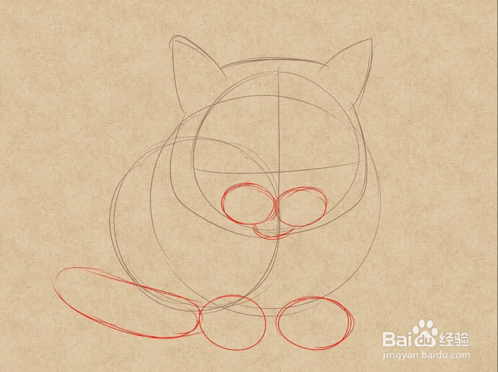 如何快速画姿势不一样的猫呢?