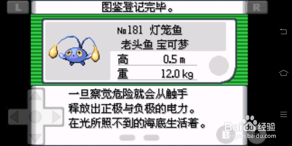 口袋妖怪绿宝石灯笼鱼怎样获得