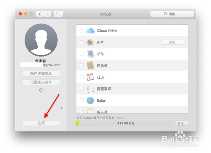 此Mac无法连接至iCloud,因为邮箱出现问题的提示