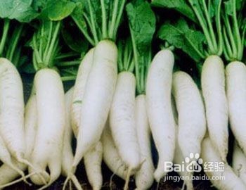 化疗怎么补营养