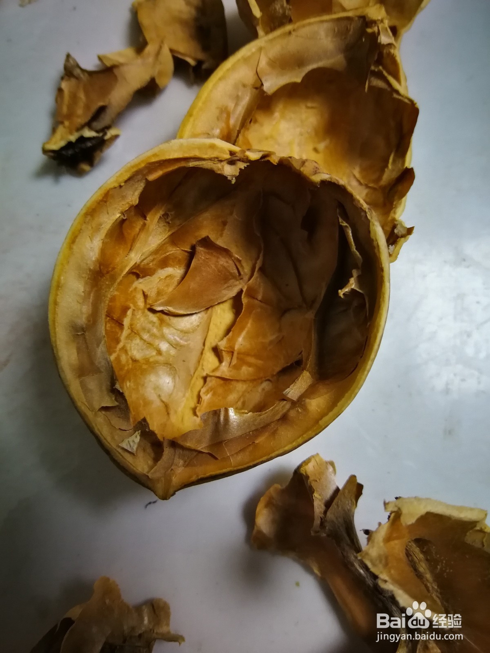 核桃隔心木的制取