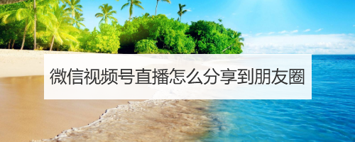 微信视频号直播怎么分享到朋友圈