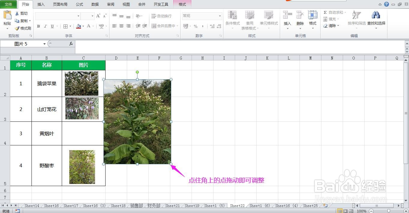 Excel表格中调整图片大小时变形了怎么办