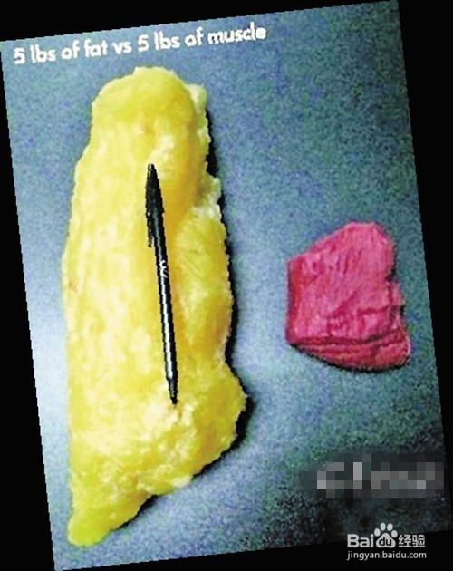 为什么你运动了，体重却没有下降？