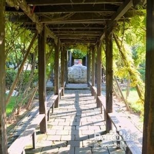 关于亭台楼阁轩榭廊舫的知识有哪些?