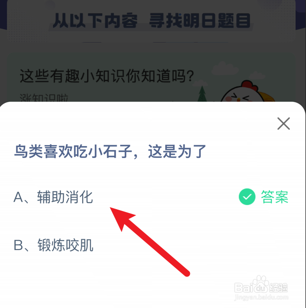 鸟类喜欢吃小石子，这是为了？蚂蚁庄园
