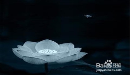 和爱人意见不一致怎么办