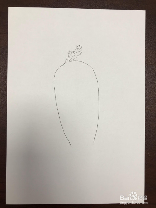 画一个胖乎乎的青萝卜
