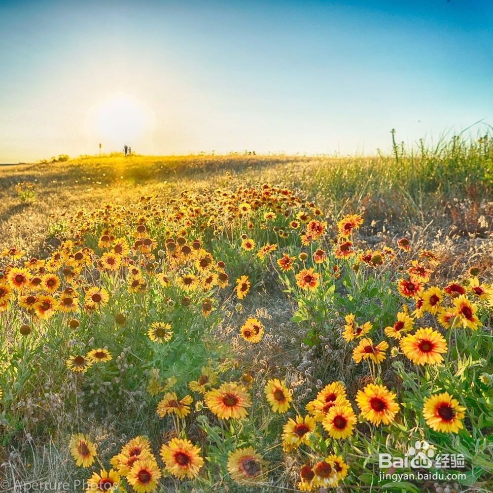 如何辨别你喜欢的他是否也正好喜欢你