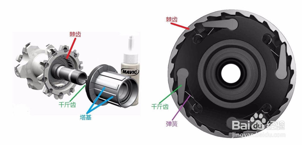活飞轮、倒刹花鼓、死飞轮的区别