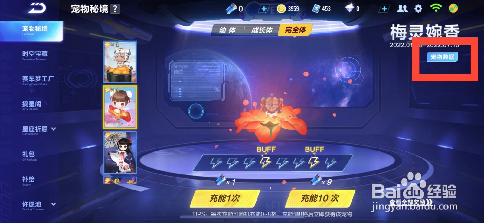 QQ飞车如何查看宠物梅林婉香的属性