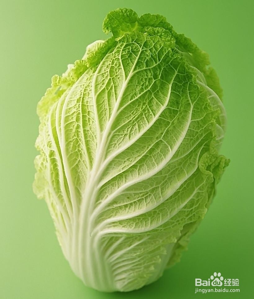 春天到了,这些降火菜你吃了吗