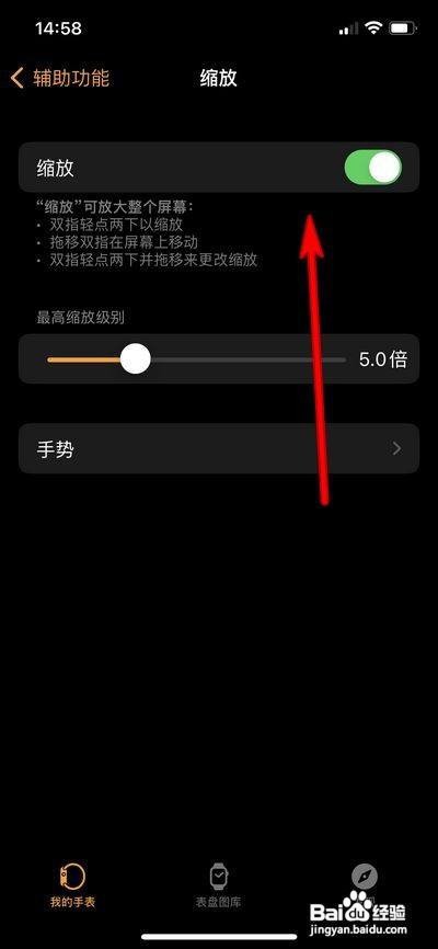 苹果手表怎么打开缩放
