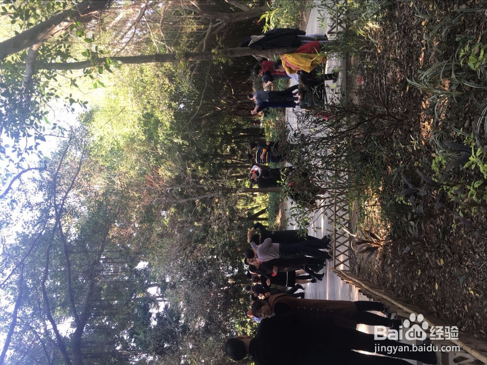 福州温泉公园花灯游