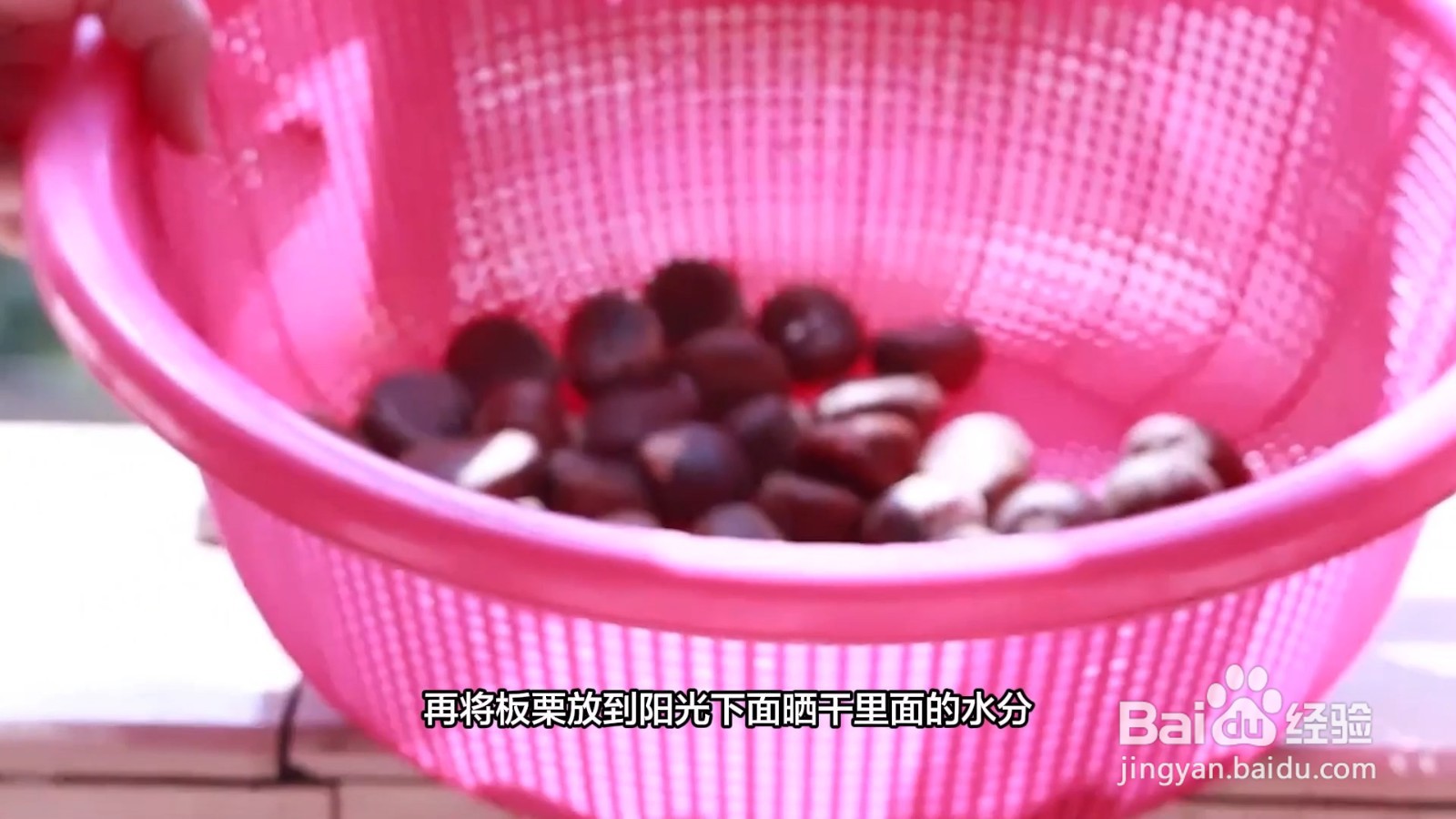 生栗子怎样存放才能保存好久