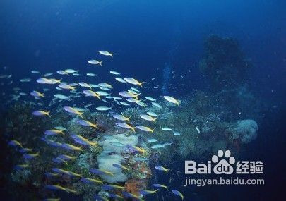 三亚亚龙湾旅游攻略