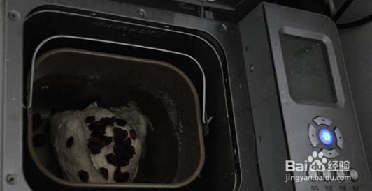 如何制作莜面蔓越莓欧？