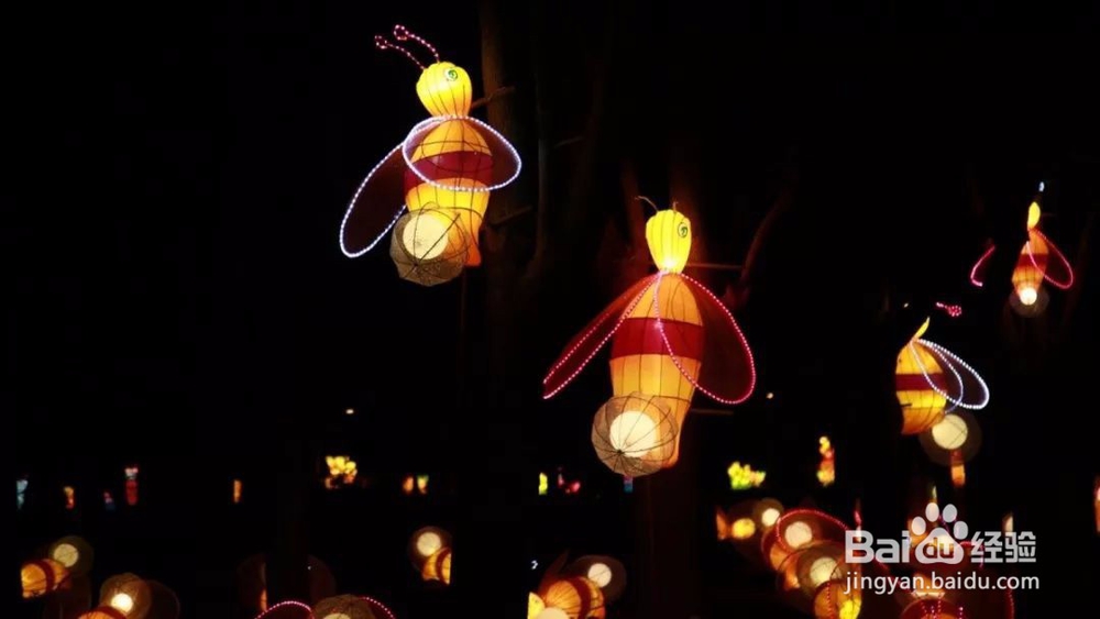 秋色渐浓,在香村遇见金色周庄