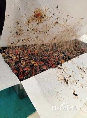 超级好吃的不含阿胶的零食糕,营养又健康