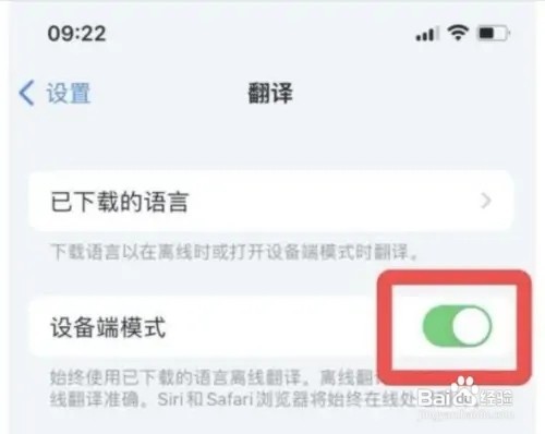苹果手机如何打开翻译的设备端模式?