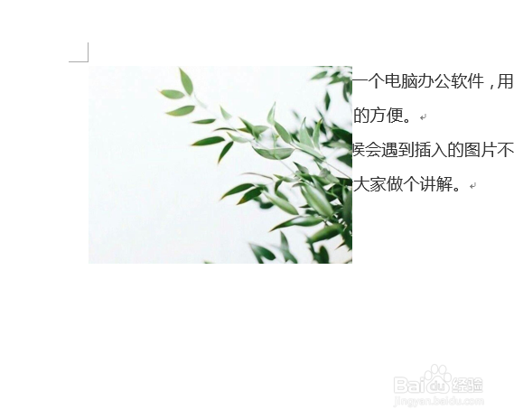 Word文档里的图片怎么随意移动位置