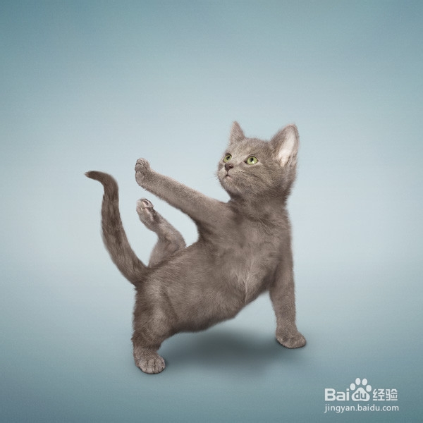 怎么在头像上加字——几种方法告诉你