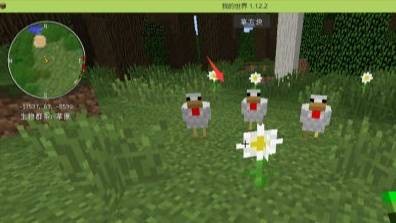 我的世界鸡怎么繁殖