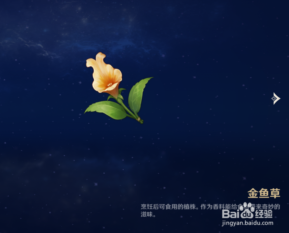 原神中如何查看金鱼草物品的解说