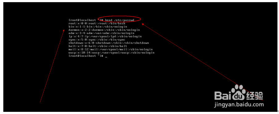 Linux之head、tail、grep、cut等命令详解