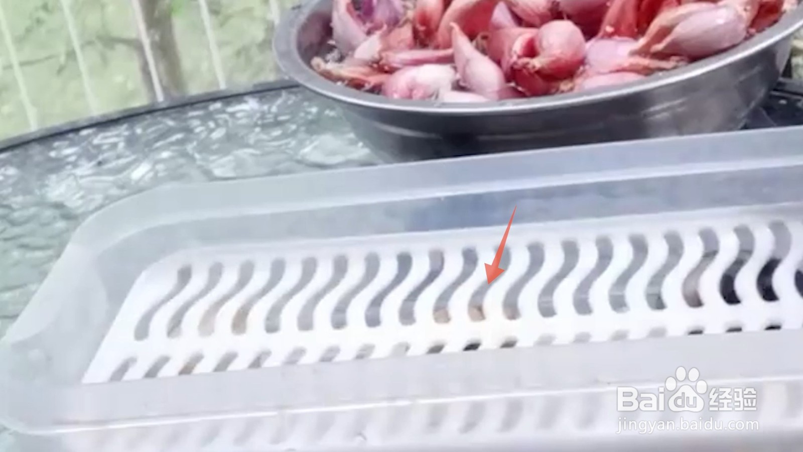如何在家无土栽培葱