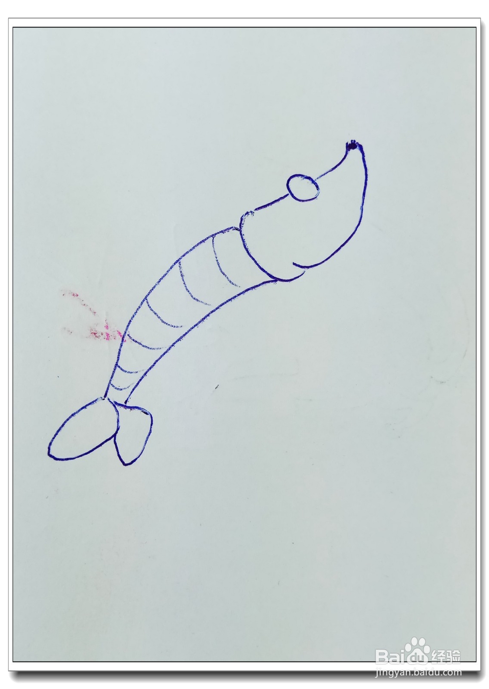 怎样画简笔画“漂亮的大虾”？