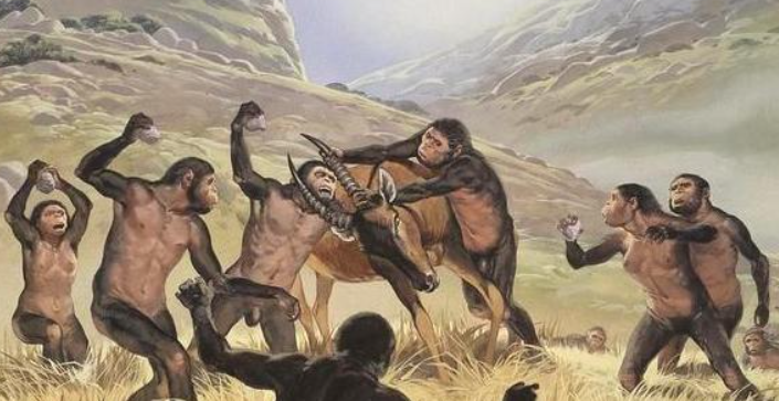 人的祖先是鱼还是猿