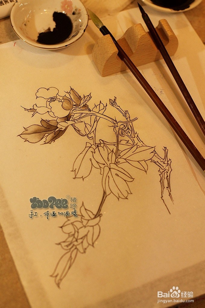 国画工笔花卉技法，起稿上色步骤图以及笔的选择