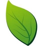 coreldraw怎样做气模